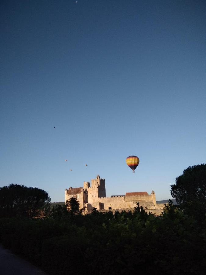 Maison En Perigord Proche Beynac Et Sarlat Cénac-et-Saint-Julien エクステリア 写真