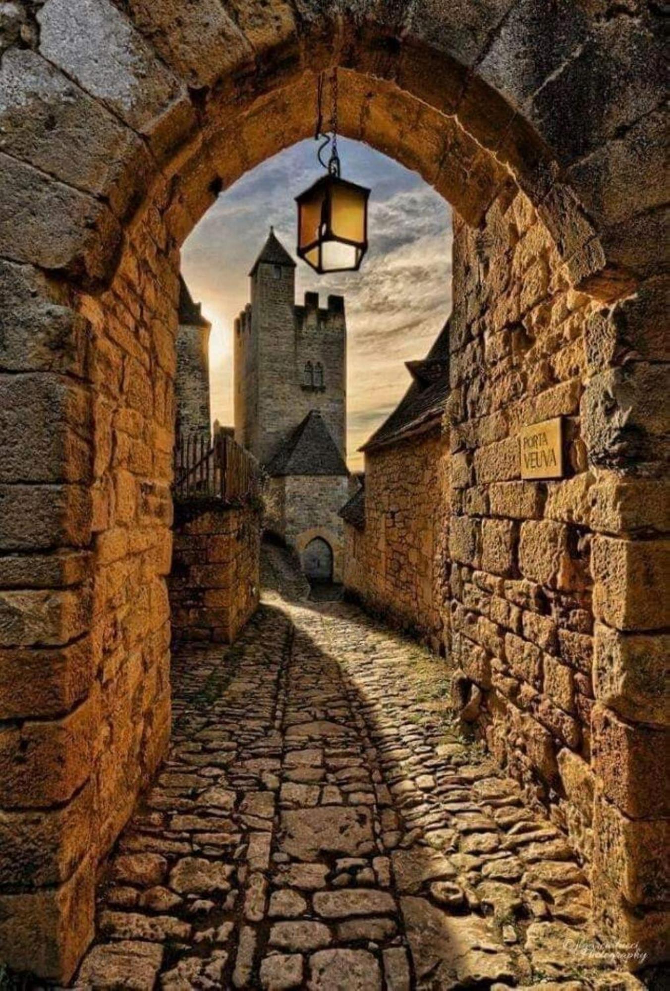 Maison En Perigord Proche Beynac Et Sarlat Cénac-et-Saint-Julien エクステリア 写真